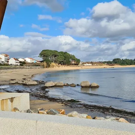A Pie De Playa En Galicia Palmeira
